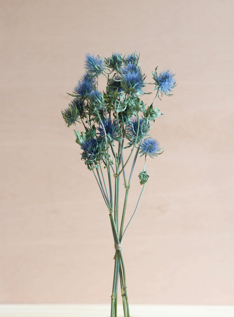 Dried Flowers vs Artificial: Which is the Better Choice?