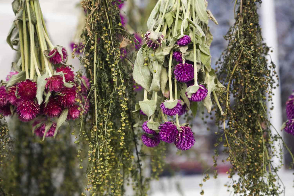 Why I Only Sell Naturally Dried Flowers, (and why that matters).