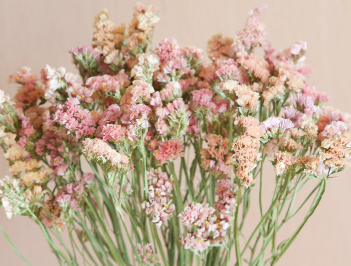 Dried Flowers