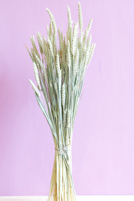 Wheat - Green / Natural