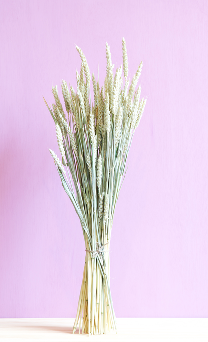 Wheat - Green / Natural