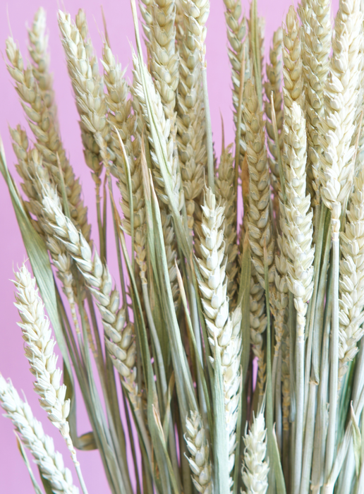 Wheat - Green / Natural