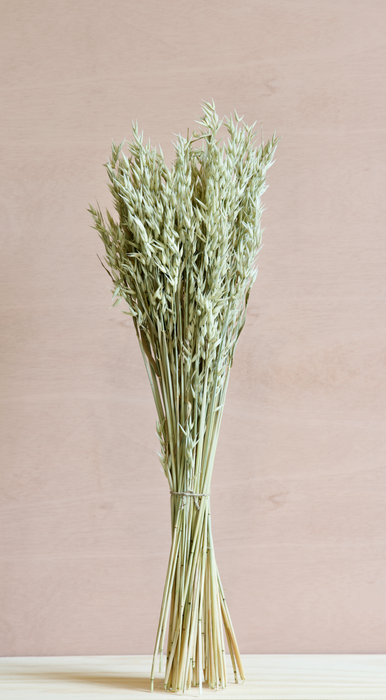 Oat - Green / Natural