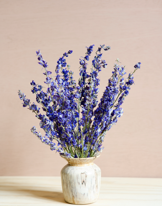 Delphinium - Purple