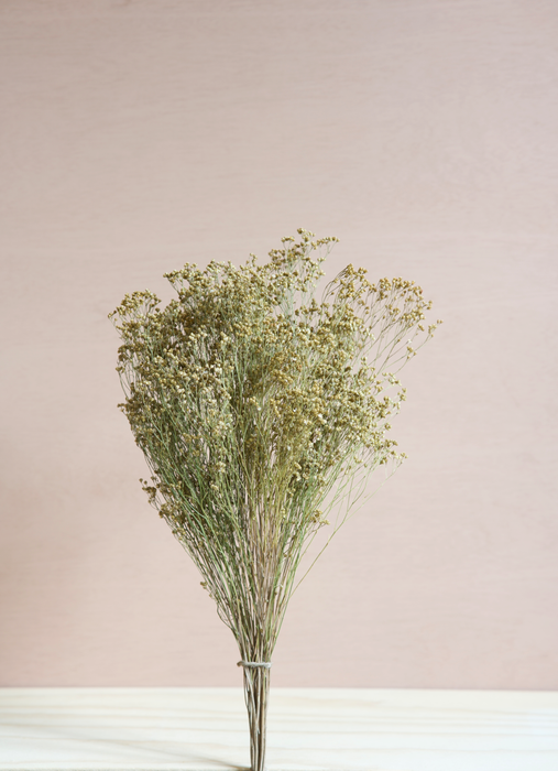 Broom