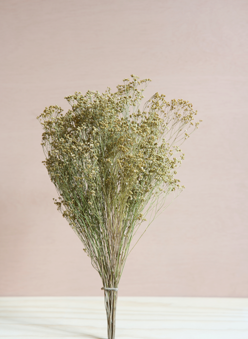 Broom