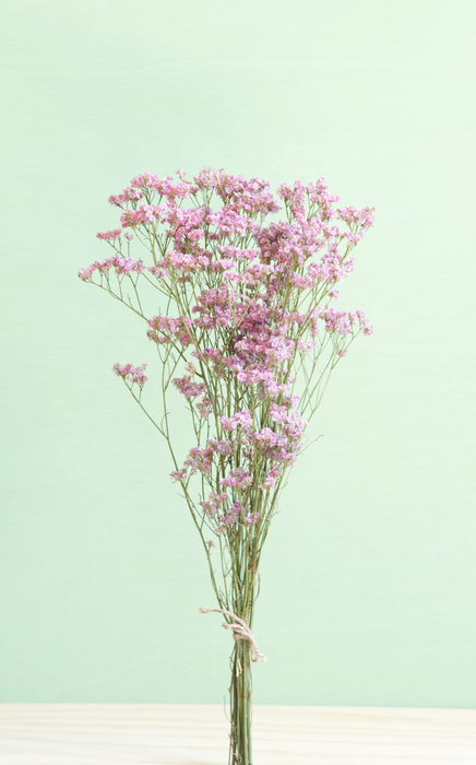 Limonium - Pink