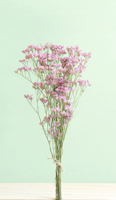 Limonium - Pink