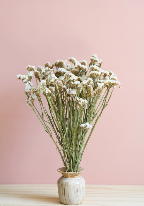 Statice - White