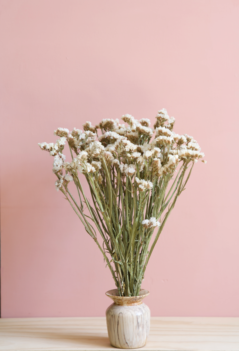 Statice - White