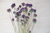 A bouquet of dried purple flowers with green stems and leaves, arranged against a light beige wood-grain background.