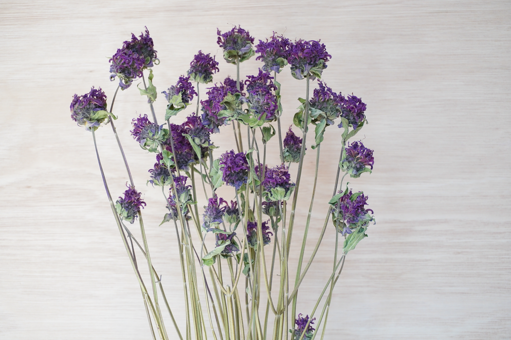 A bouquet of dried purple flowers with green stems and leaves, arranged against a light beige wood-grain background.